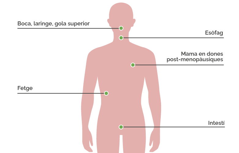 AECC tipus de cancer alcohol