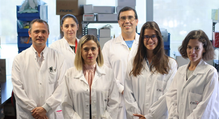 Las Dras. Guadalupe Sabio y Magdalena Leiva y el equipo que ha llevado a cabo la investigación (CNIC)